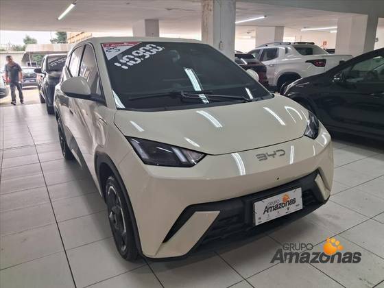 BYD DOLPHIN MINI 38 KW ELÉTRICO